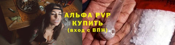 крисы Нефтекумск