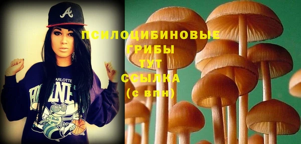 MDMA Нефтегорск