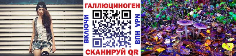Псилоцибиновые грибы Psilocybe  Купить закладки  Десногорск 