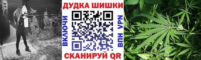 Купить где  Десногорск  Конопля ГИДРОПОН 